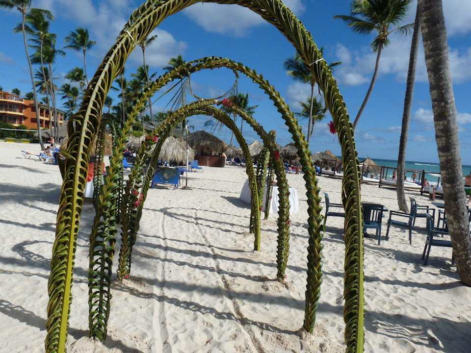 Palmenweg zum Grillplatz Punta Cana Princess All Suites Resort & Spa