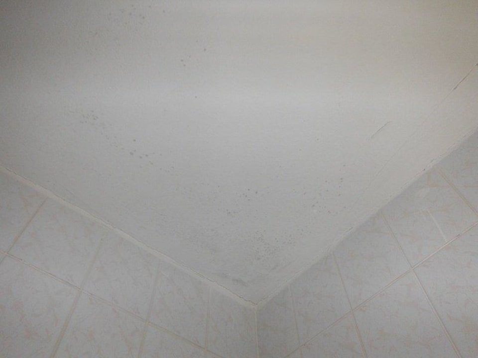 Plíseň v koupelně Hotel Gejzír