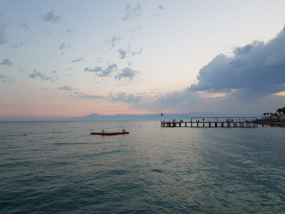 Ausblick Papillon Ayscha
