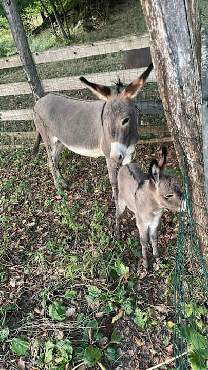 Sonstiges Awesome Home In Skare With Sauna