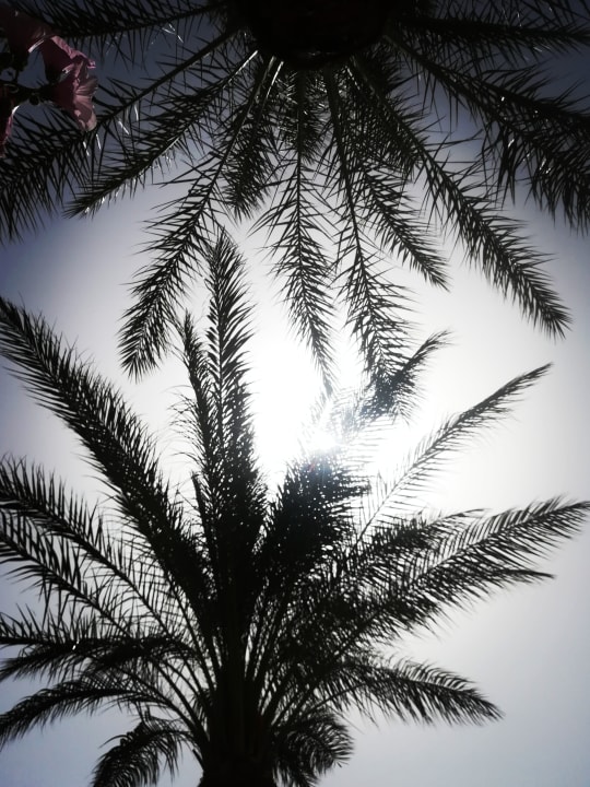 Sonstiges Three Corners Rihana Resort Deluxe