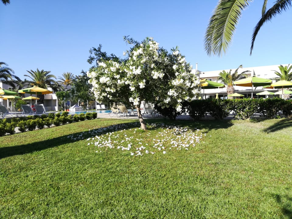 Außenansicht Hotel Esperia