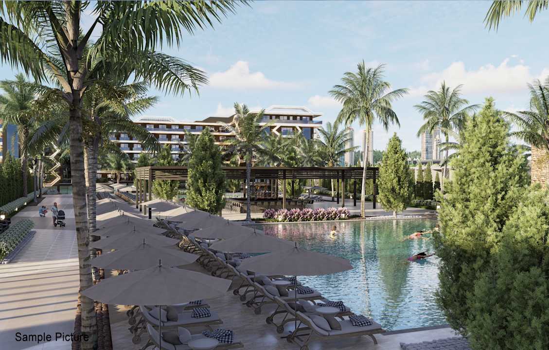 Pool Sentido Palmeras Lumare