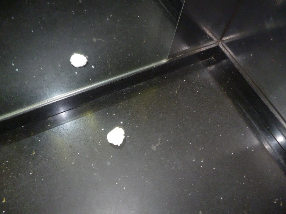 Carbage in the elevator all day long Hotel San Gil