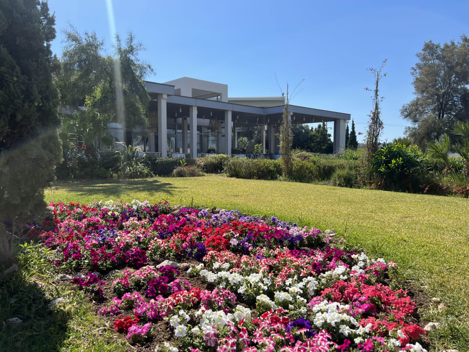 Gartenanlage SENTIDO Port Royal Villas & Spa