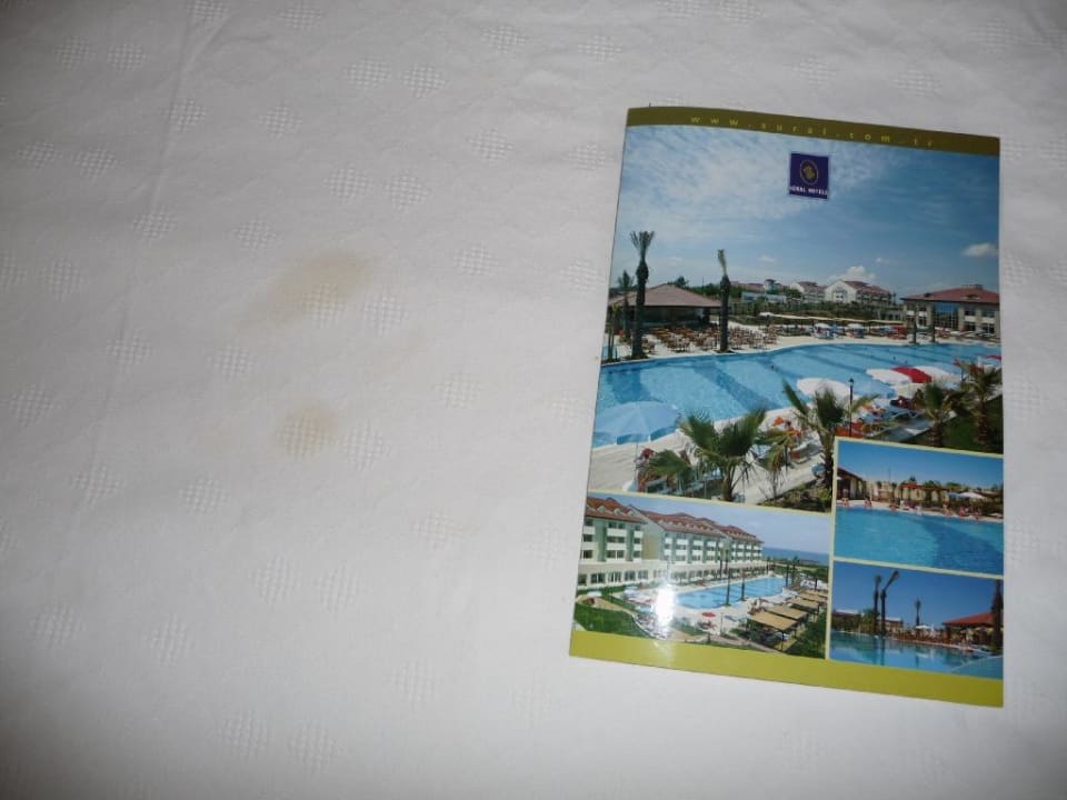 Frisch gereinigte Decke? Süral Saray Hotel