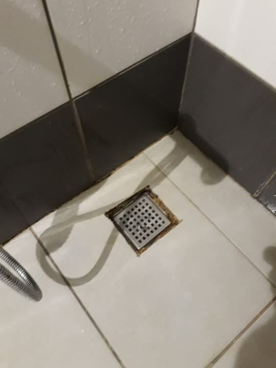 Zimmer AQI Pegasos World