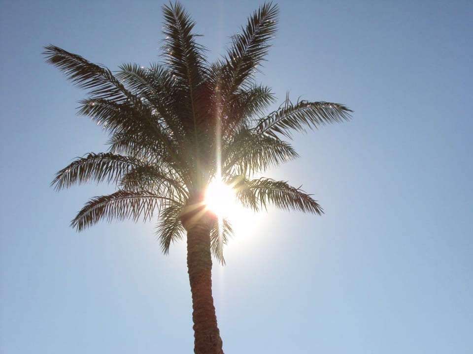 Просто так Panorama Bungalows Resort El Gouna