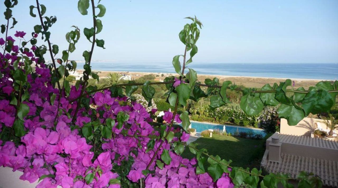 Ausblick vom Schlafzimmerfenster Apartments Buganvilia