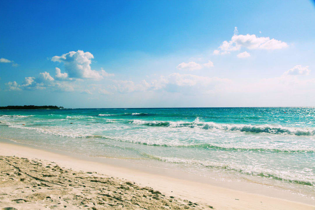 Пляжик Catalonia Royal Tulum Beach & Spa Resort - Adults only