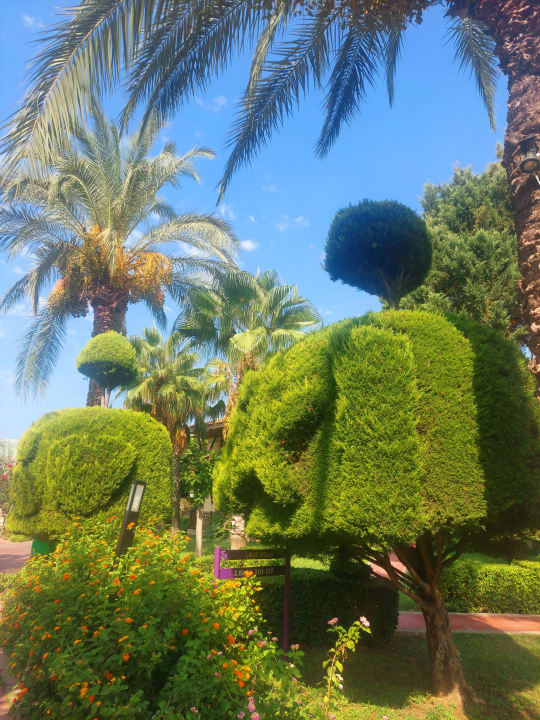 Gartenanlage TUI KIDS CLUB Felicia Village
