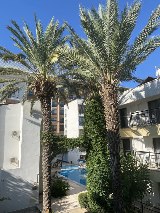 Ausblick Adin Resort Hotel