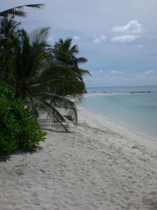 Strand vor Bungi 53-68 Summer Island Maldives