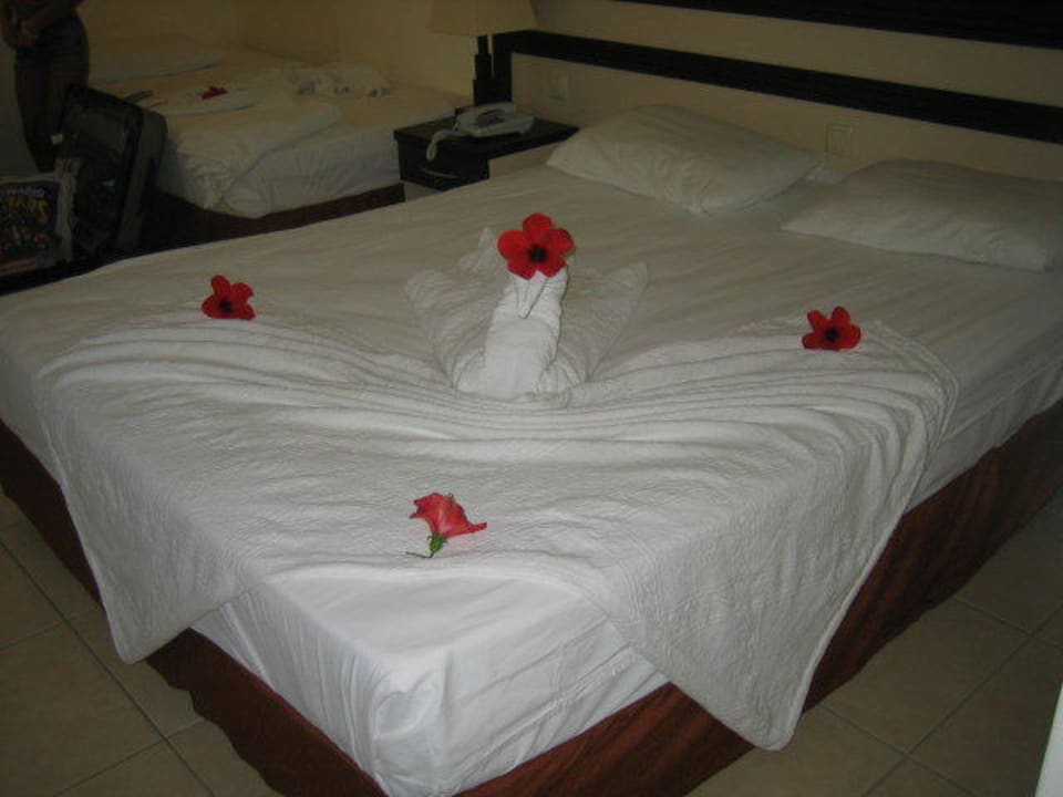 Schön gemachtes Bett auch ohne Trinkgeld Hotel Orfeus Park