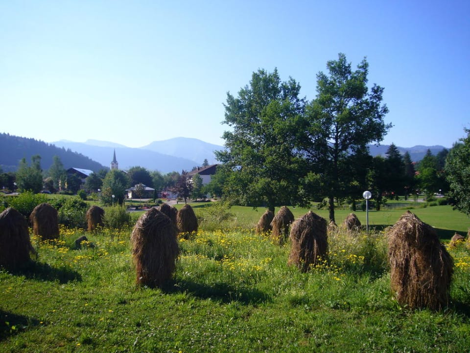 Blick aus dem Gymnastik-Stadl Parkhotel Oberstaufen
