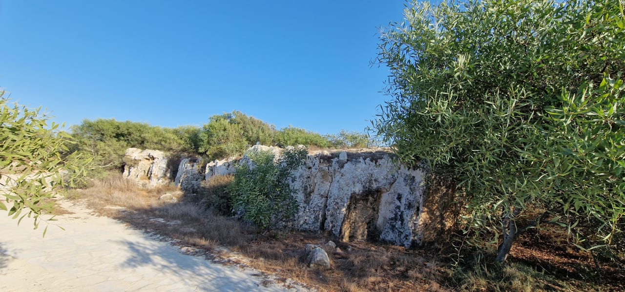 Sonstiges Asterias Beach