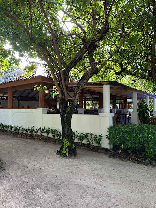 Sonstiges Eri Maldives