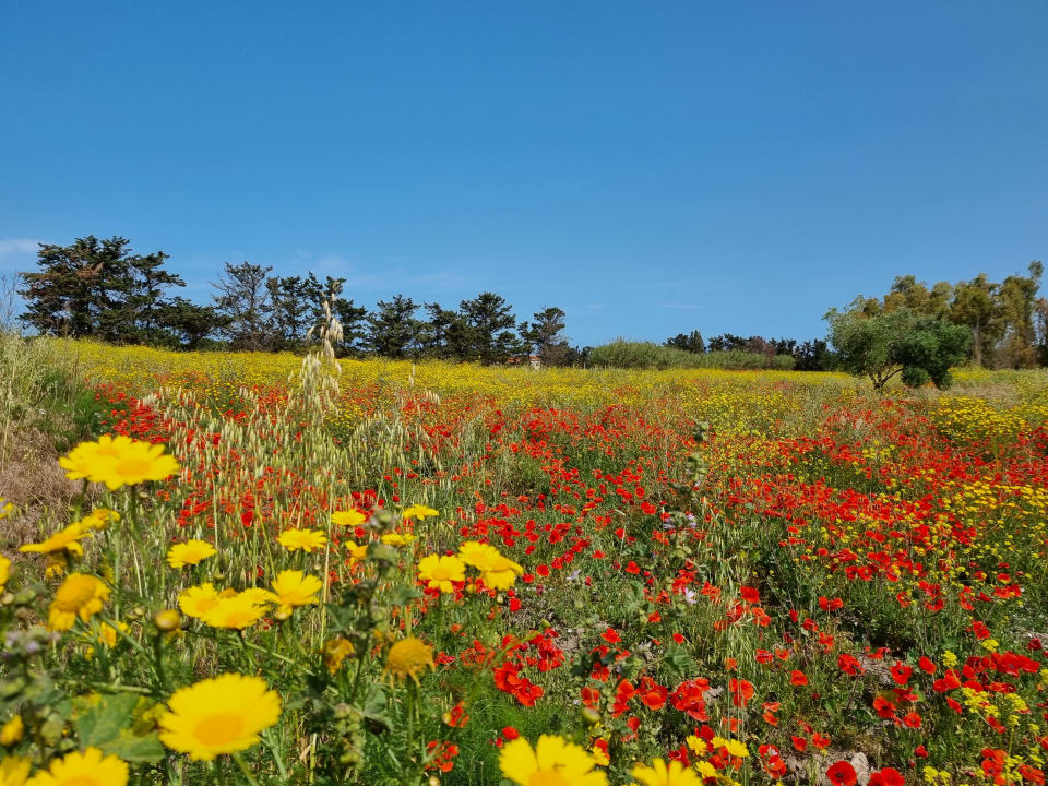 Ausblick Conrad Chia Laguna Sardinia