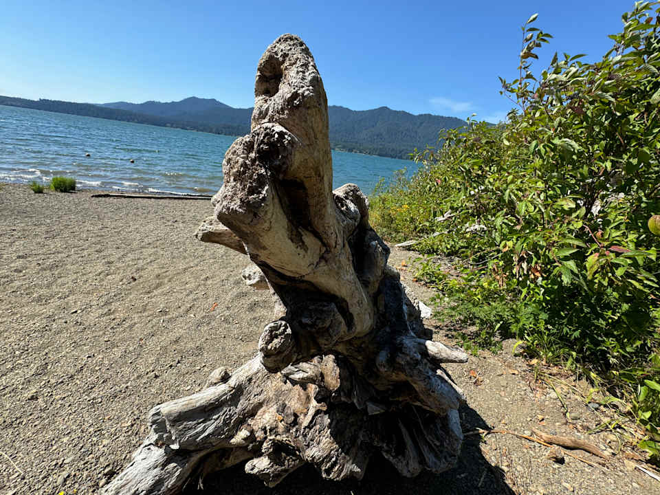 Strand Lake Quinault Lodge