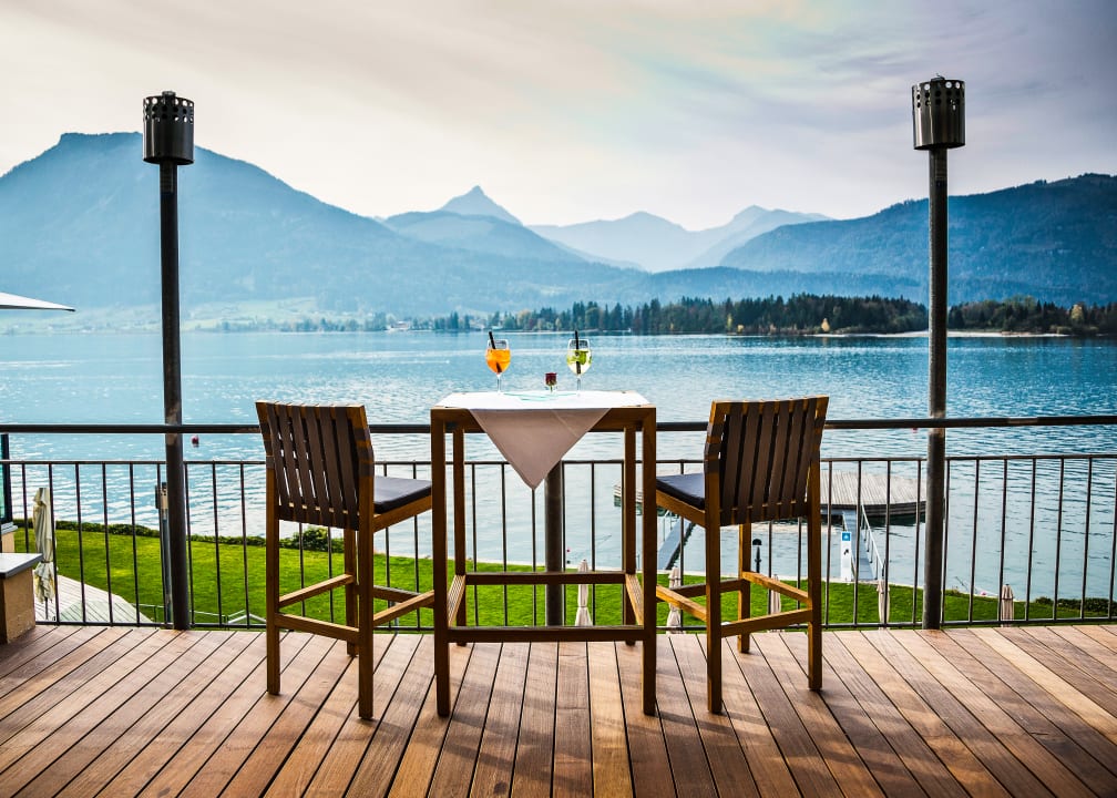 Gastro Scalaria Sunset Wing