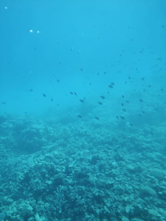 Sport & Freizeit Grand Makadi