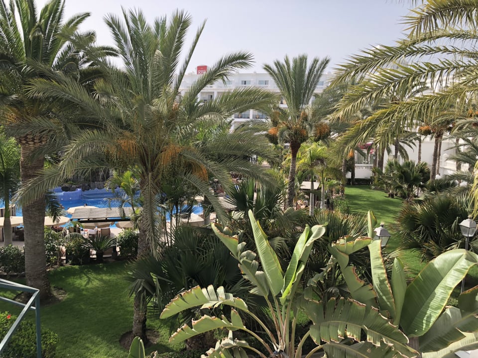 Ausblick Hotel Riu Palace Maspalomas Adults Only
