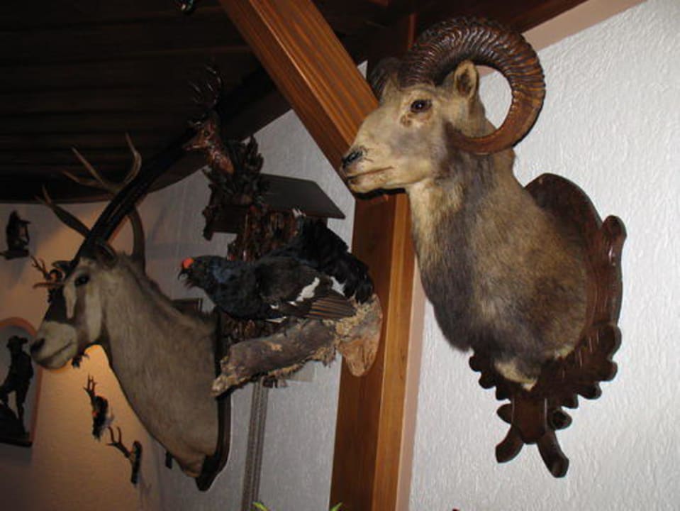 Dekoration in der Gaststube Hotel-Gasthof Jägerstüble