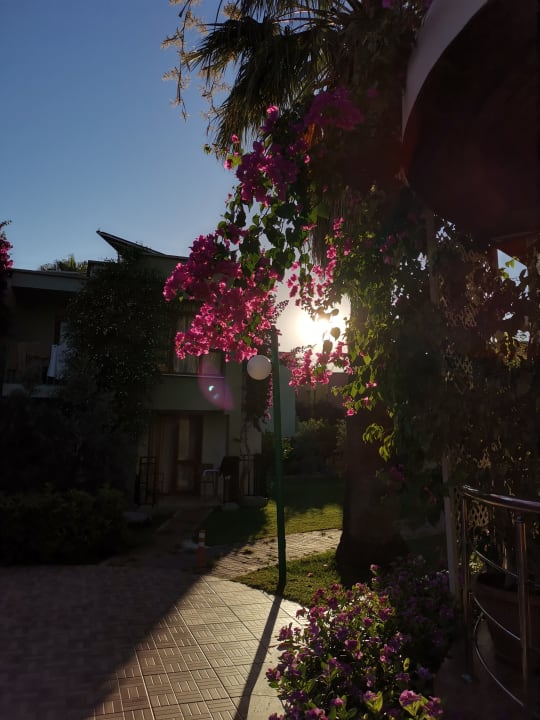 Gartenanlage VONRESORT Golden Beach