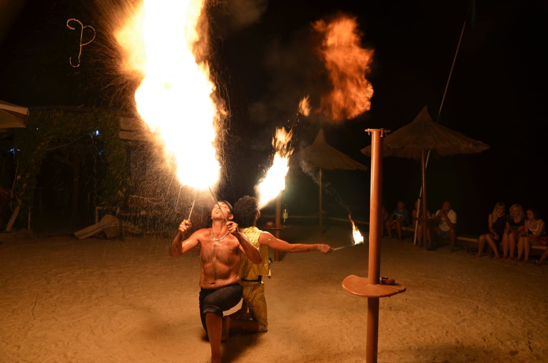 Animacje wieczorne Seagull Beach Resort