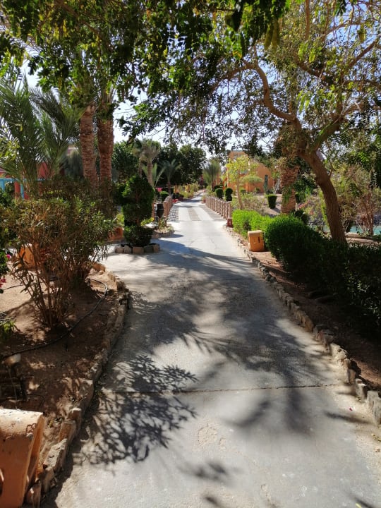Gartenanlage Sheraton Miramar Resort El Gouna