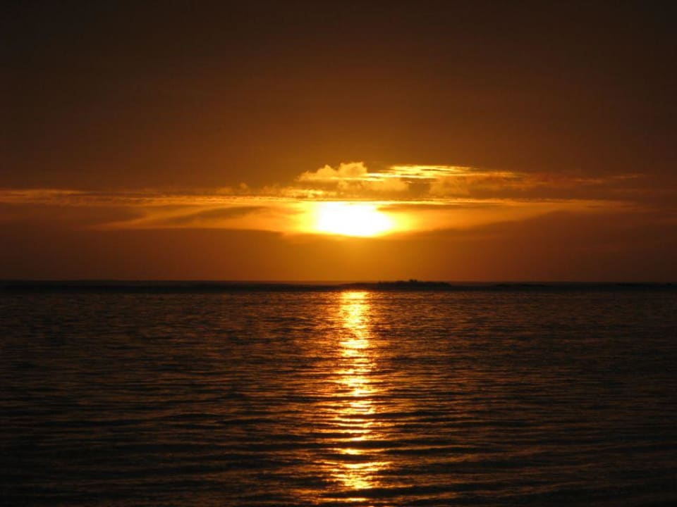 Sonnenuntergang Palm Grove Resort