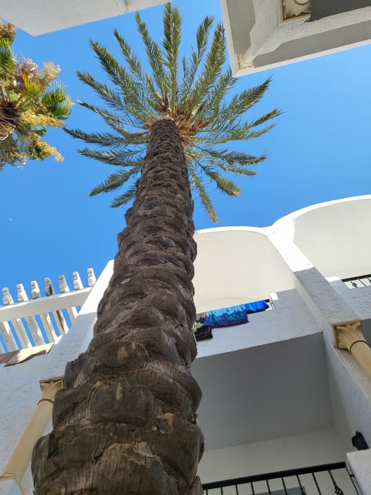 Ausblick Hotel Nesrine