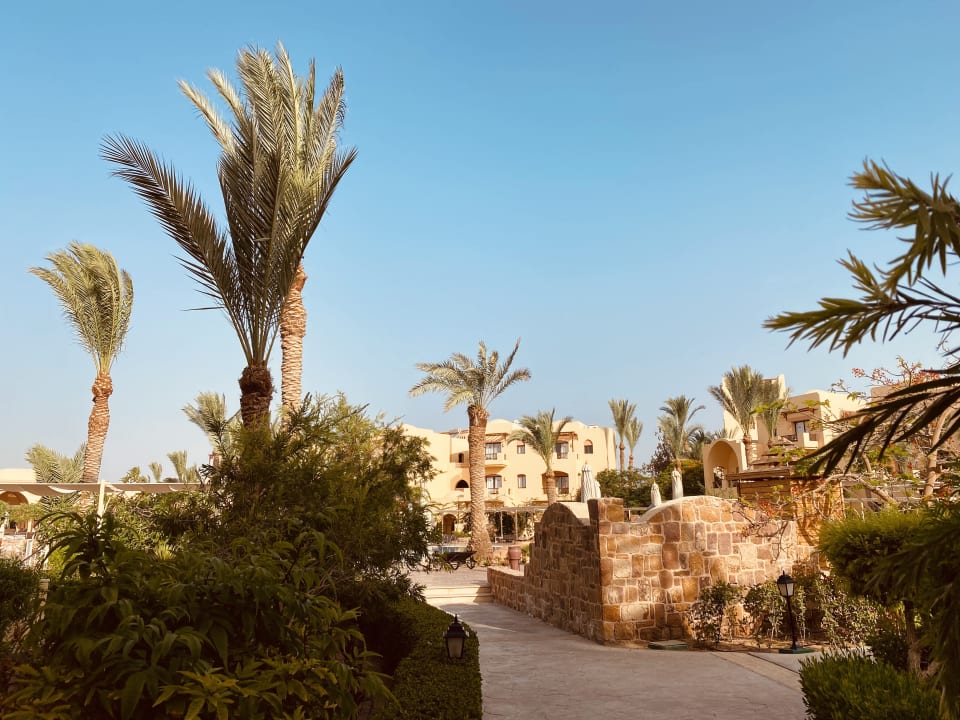 Außenansicht Steigenberger Coraya Beach - Adults only