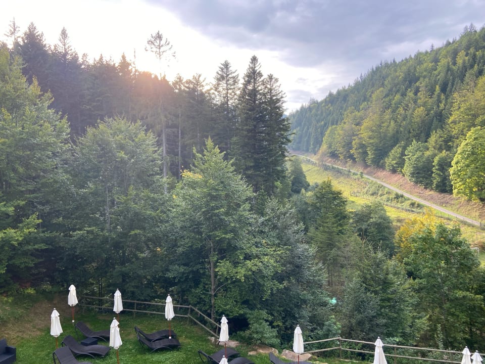 Ausblick Wellnesshotel Forsthaus Auerhahn