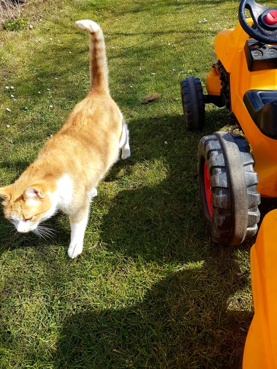 Gartenanlage Ferienhof Inselblick