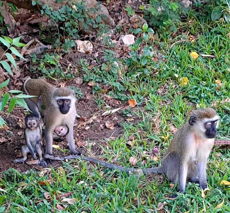 Sonstiges Bahari Beach Hotel