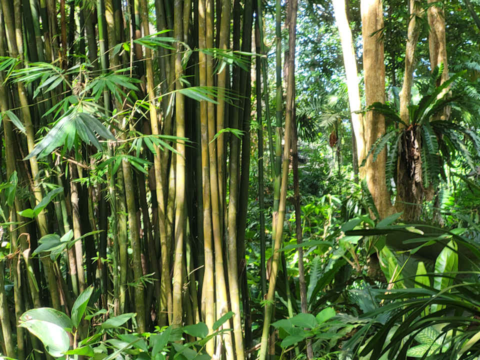 Gartenanlage Khao Lak Merlin Resort