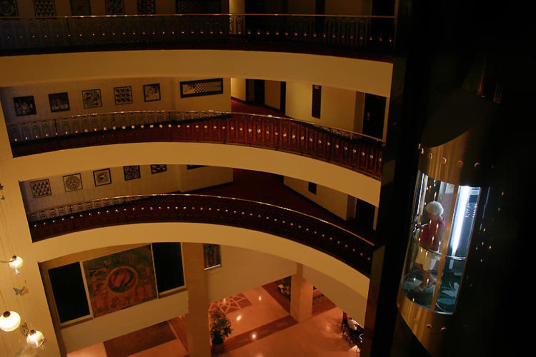 Eingang von oben Papillon Ayscha