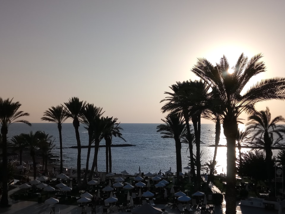 Ausblick TUI BLUE Pioneer Beach