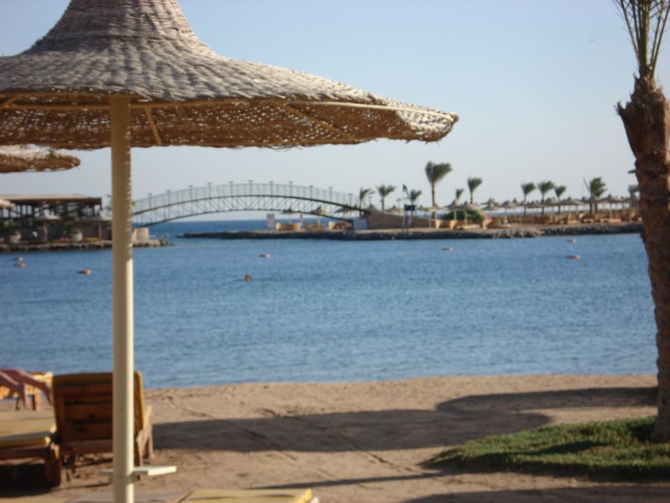 Лагуна Desert Rose