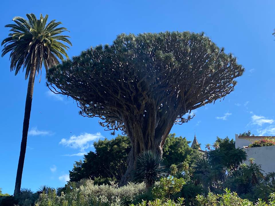 Sonstiges Bahia Principe Sunlight Costa Adeje