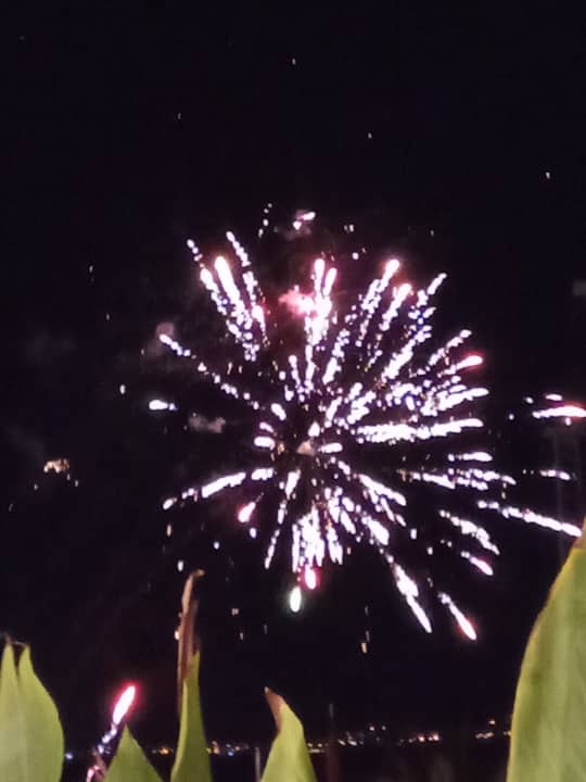 Gartenanlage Gold Island Selected