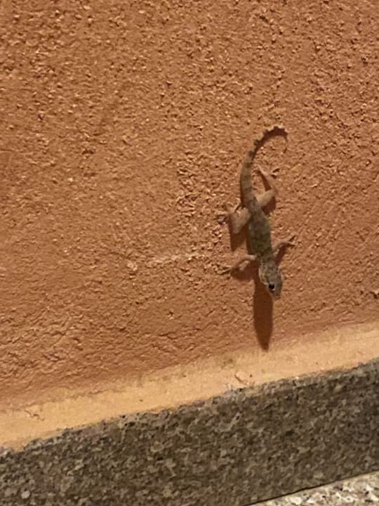 Sonstiges Three Corners Happy Life Beach Resort