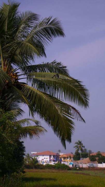 Hotel Baywatch Resort Hotel Baywatch Resort