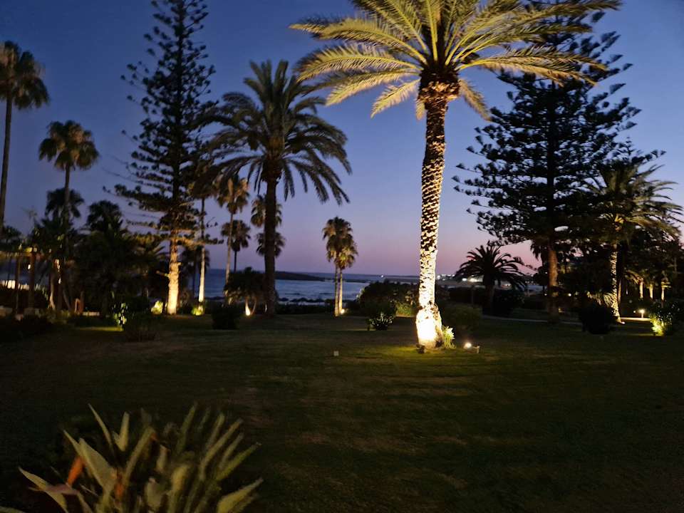 Gartenanlage Hotel Nissi Beach Resort