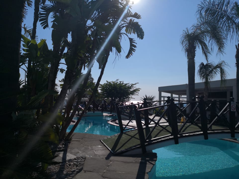 Pool Hotel Calypso Beach