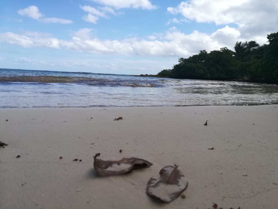 Strand Bahia Principe Grand Tulum
