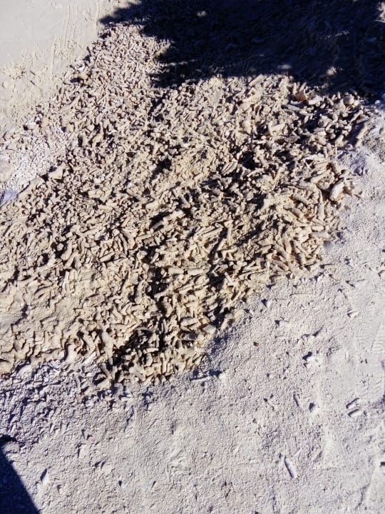 Strand Adaaran Select Meedhupparu Island Resort - Premium All Inclusive