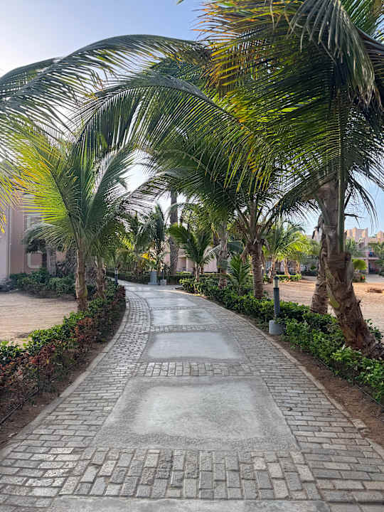 Gartenanlage Hotel Riu Cabo Verde