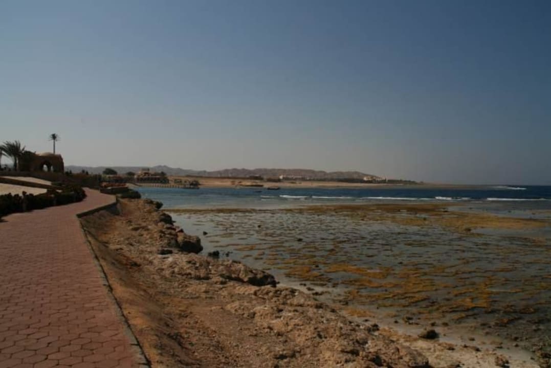 Ausblick Mövenpick Resort El Quseir